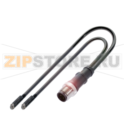 Датчики магнитного поля для C-образного паза Balluff BMF0005 