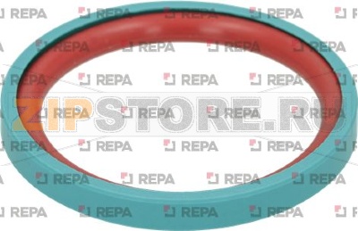 FILTER HOLDER GASKET ø 59x45.5x6.6 mm 