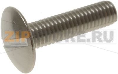 БОЛЬШОЙ ВИНТ С ПОЛУКРУГЛОЙ ГОЛОВКОЙ M6X40 