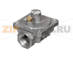 REGULATOR,RV48 NATURAL GAS 