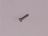 Cylinder head screw M3 x 12   slit