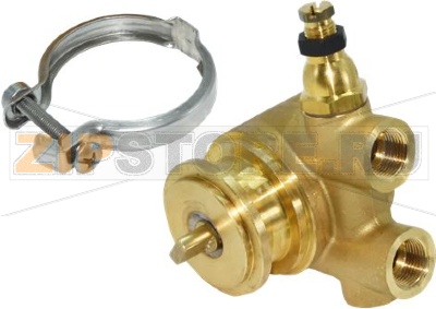 VOLUMETRIC PUMP ROTOFLOW ø 3/8 GAS 