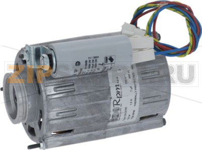 MOTOR 120W 230V GRUPPO IZZO 