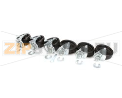 CASTOR 5 W/ 1/2 STEM SET/6 