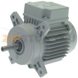 MOTORE B119/4-8TBW 400V 50Hz 