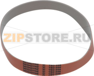 BELT MULTIGRIP TB2 598 H22 10 GROOVES 