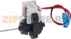Motor,AC 