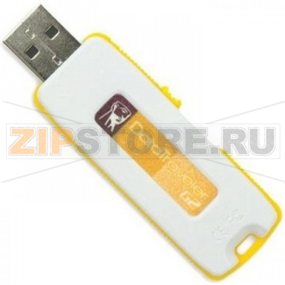 Накопитель USB 4 Гб Kingston DTIG2-4GB 