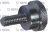 Vis de fixation pour racleur 4200030