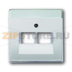 Накладка для двухпостовой розетки с полем для надписи, сталь ABB 2CKA001710A3764 