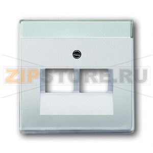 Накладка для двухпостовой розетки с полем для надписи, сталь ABB 2CKA001710A3764 