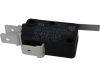 DOOR MICROSWITCH