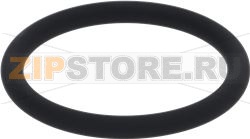 OR GASKET 06187 FKM 