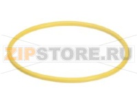 WATERTREAT REP O-RING SCALTROL