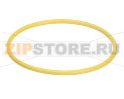 WATERTREAT REP O-RING SCALTROL 