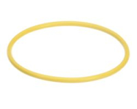 WATERTREAT REP O-RING SCALTROL