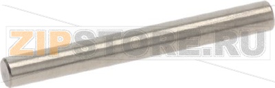 ПАЛЕЦ ДЛЯ СОБАЧКИ 