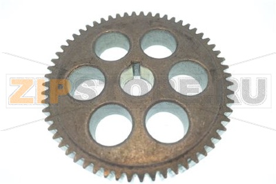 INGRANAGGIO Ø GRANDE MOD. IP7 