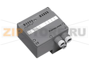 Модуль AS-Interface analog module VBA-2A-G4-I Pepperl+Fuchs Описание оборудованияG4 module IP652 analog outputs (current)