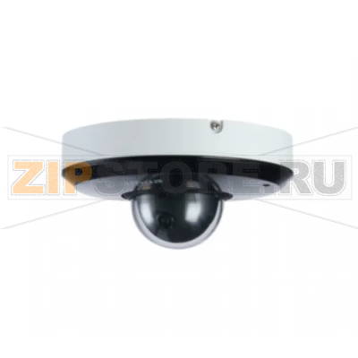 IP-камера Dahua DH-SD1A203T-GN 