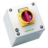 Переключатель кулачковый 63 А, 1x90°, 1 шт Sälzer B263-41300-087N4