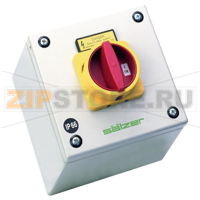 Переключатель кулачковый 63 А, 1x90°, 1 шт Sälzer B263-41300-087N4 