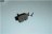 oven bit generator+enter everel