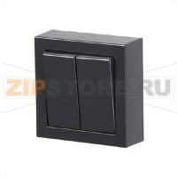 Переключатель двухклавишный, монтаж: накладной, антрацитовый ABB 2TKA00001844