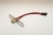 LAMP HOLDER G9 220V