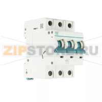 Выключатель автоматический 125 А, 25 кА, 50/60 Гц ESQ 14.02.01.000010