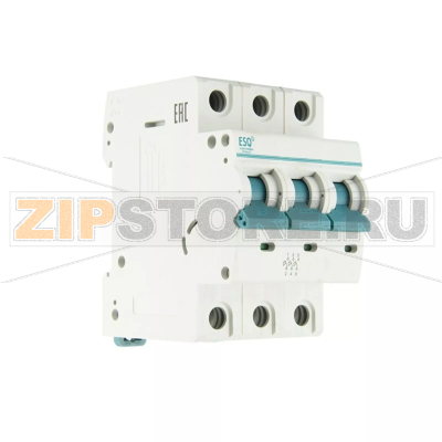 Выключатель автоматический 125 А, 25 кА, 50/60 Гц ESQ 14.02.01.000010 