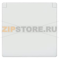 DELTA I-SYSTEM ТИТАНОВО-БЕЛЫЙ РОЗЕТКА SCHUKO НАКЛАДКА С ОТКРЫВАЮЩЕЙСЯ КРЫШКОЙ 55Х55ММ Siemens 5UH1204