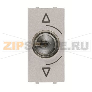 Механизм переключателя с ключом, одномодульный, серебристый ABB 2CLA215310N1301 