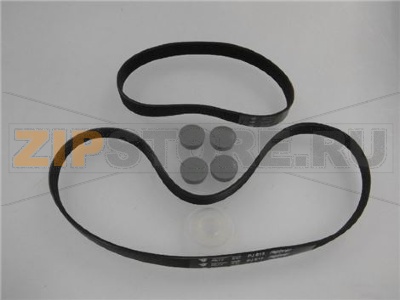 ASSIEME CINGHIA MULTIGRIP PJ494 7 GOLE 