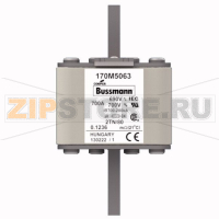 Предохранитель, 700 A, AC 690 В, 200 кА, 2, 61x75x108 мм, aR, DIN, IEC Eaton FUSE 700A 690V 2TN