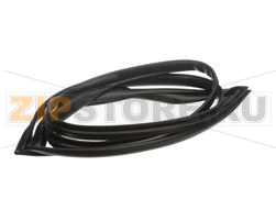 GASKET, TPP 