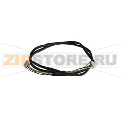 EB3F INTERCONNECT DATA CABLE 