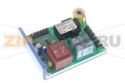 SCHEDA                      BLZ Y12 