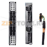SIMATIC S7-300, ФРОНТ. СОЕДИНИТЕЛЬ SIMATIC TOP CONNECT ДЛЯ 16-КАНАЛЬНЫХ МОДУЛЕЙ ВВОДА-ВЫВОДА ДИСКР. СИГНАЛОВ, ПОДКЛ. ВНЕШНИХ ЦЕПЕЙ ВИТЫМ ЛЕНТОЧНЫМ КАБЕЛЕМ, ПОДКЛЮЧЕНИЕ ПИТАНИЯ ЧЕРЕЗ ТЕРМИНАЛЬНЫЙ БЛОК С КОНТАКТАМИ-ЗАЩЕЛКАМИ Siemens 6ES7921-3AA00-0AA0