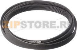 CINGHIA 00117448 BOSCH 