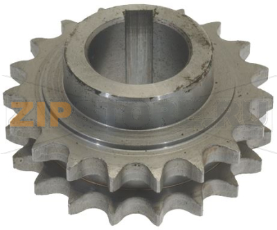PIGNONE Z19 1/2 