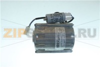 PUMP MOTOR 230V 120W