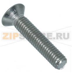 VITE A TESTA SVASATA PIANA M6x30 