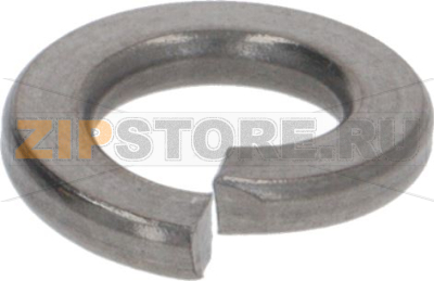 Elastic Washer D. 6 
