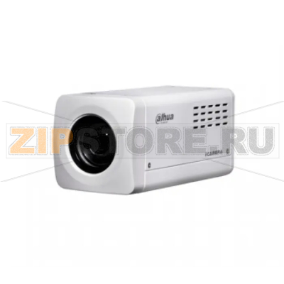 IP-камера Dahua DH-SDZ2030S-N-S2 