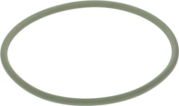 OR GASKET 04300 FPM 75 GREEN