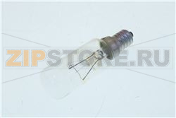 LAMPADA          02300093 