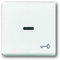 Клавиша выключателя/переключателя/кнопки с символом "Ключ", альпийский белый ABB 549.30