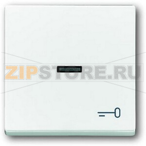 Клавиша выключателя/переключателя/кнопки с символом &quot;Ключ&quot;, альпийский белый ABB 549.30 