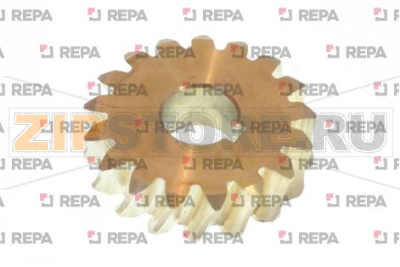 MOTOR FOR WORM 
